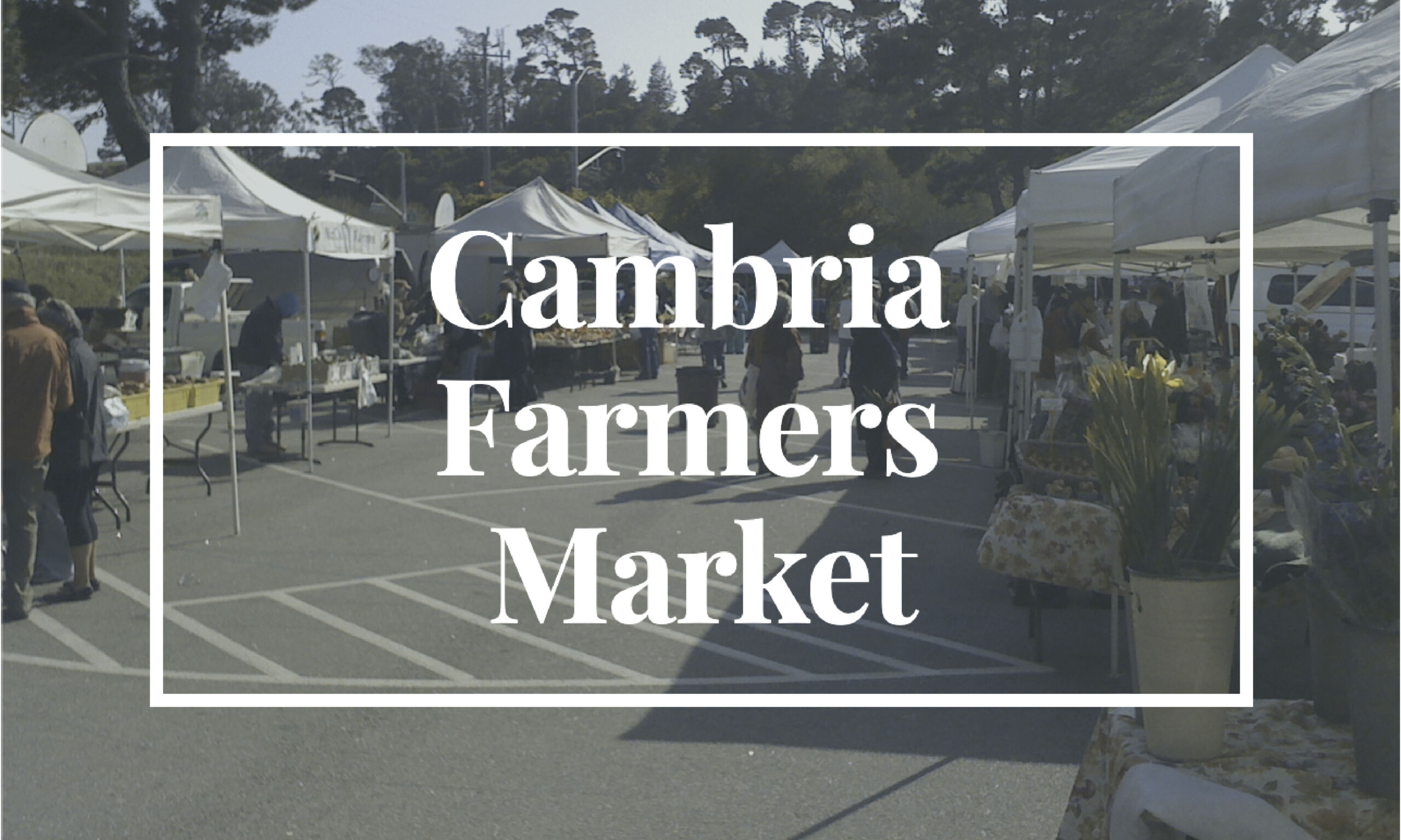 Cambria Farmers Market - Cambria Currents